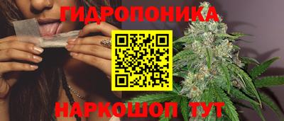 ГАЛЛЮЦИНОГЕННЫЕ ГРИБЫ Донской