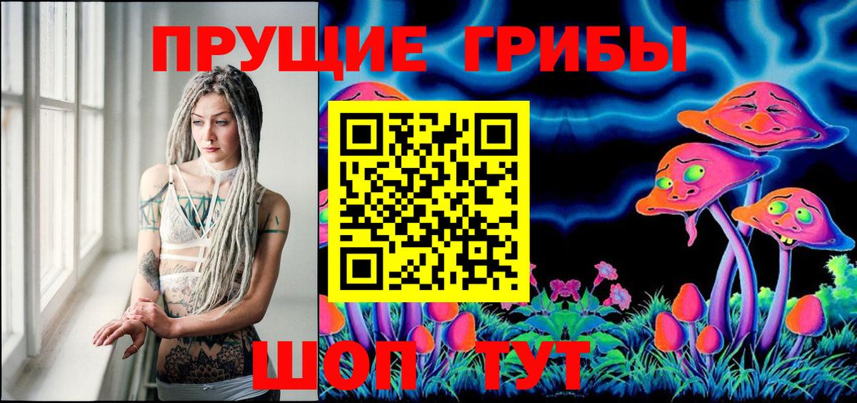 Галлюциногенные грибы GOLDEN TEACHER  Псилоцибиновые грибы MAGIC MUSHROOMS  Михайловка  Вход с VPN 