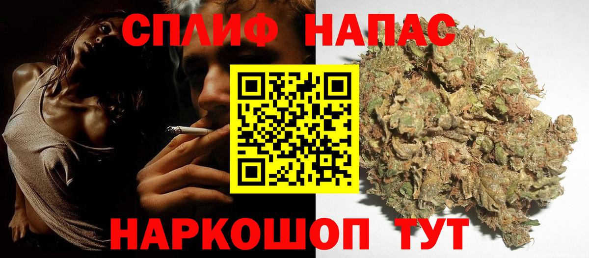 Бошки марихуана марихуана  Вход с VPN  Каннабис VHQ  МАРИХУАНА сатива  Михайловка 